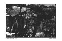 CAILLE-BOLOSSE-1956