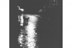 NIGHT-1955