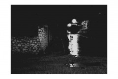 NIGHT-DOG